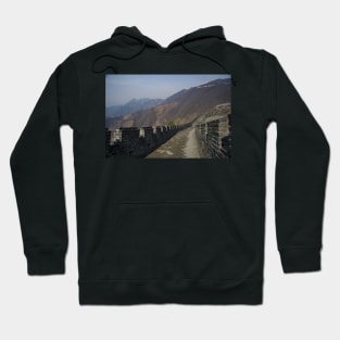 850_0569 Hoodie